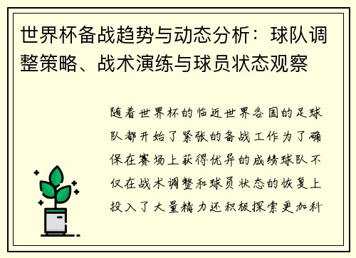 世界杯备战趋势与动态分析：球队调整策略、战术演练与球员状态观察