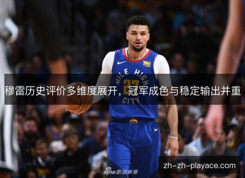 穆雷历史评价多维度展开,冠军成色与稳定输出并重 穆雷历史评价多维度展开,冠军成色与稳定输出并重